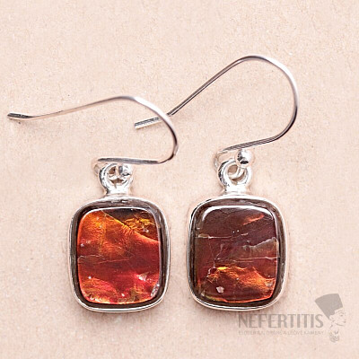 Amolite earrings silver Ag 925 E732