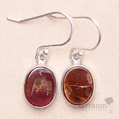 Amolite earrings silver Ag 925 E759