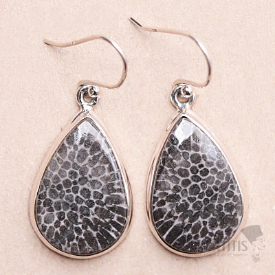 Coral Fossil Stingray Earrings Silver Ag 925 E93