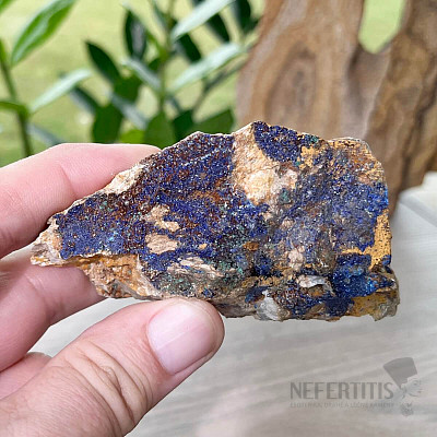 Azurite in mother rock raw Morocco 8