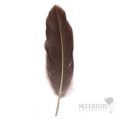 Goose feather for smoking dark gray 16 cm