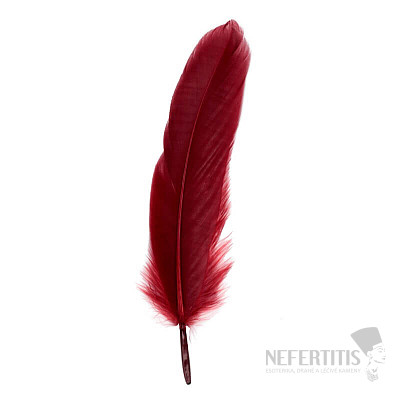 Goose feather for smoking scarlet 18 cm