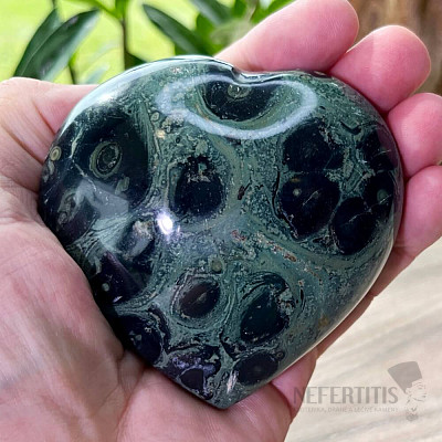 Jasper kambaba polished Madagascar Heart M9-1