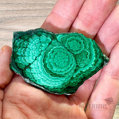 Malachite polished slice 13