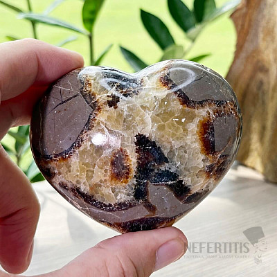 Septaria polished Madagascar large Heart P8-2