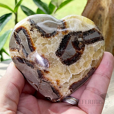 Polished septaria Madagascar large Heart P8-3