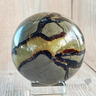 Septoria polished ball Madagascar 11