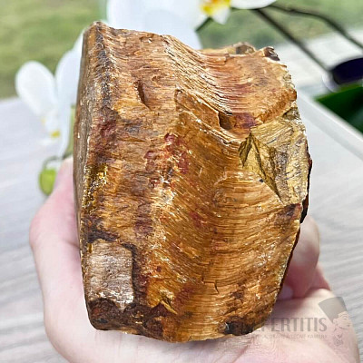 Tiger eye raw AA quality 1