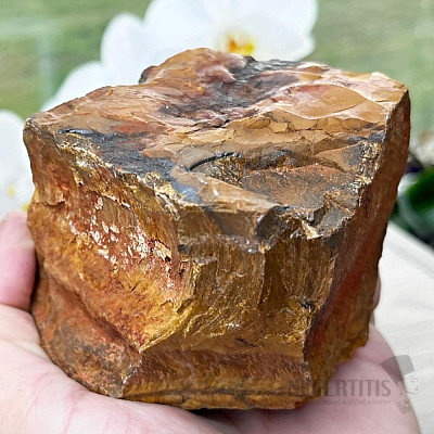 Tiger eye raw AA quality 6