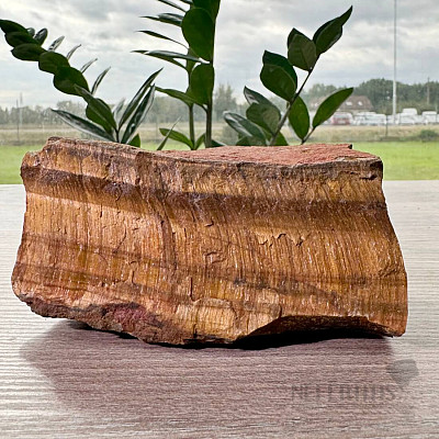 Tiger eye raw AA quality 9