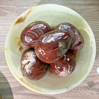 Petrified wood egg home decoration 6 cm