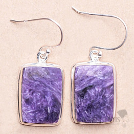 Charmite earrings silver Ag 925 E1082