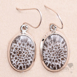 Coral Fossil Stingray Earrings Silver Ag 925 E131