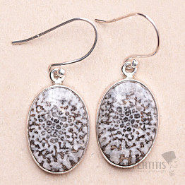 Coral Fossil Stingray Earrings Silver Ag 925 E138