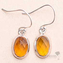 Cut amber earrings silver Ag 925 E32