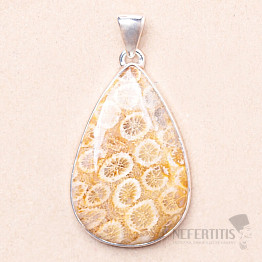 Coral fossil Indonesian pendant silver Ag 925 P433