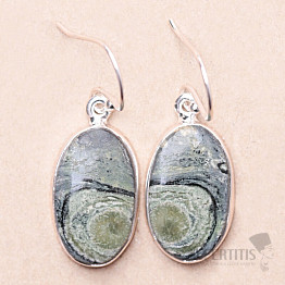 Jasper kambaba earrings silver Ag 925 E47