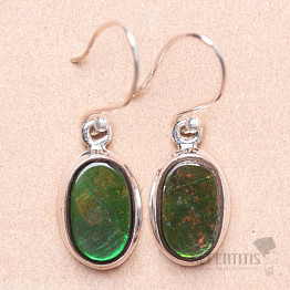 Amolite earrings silver Ag 925 E538