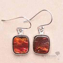 Amolite earrings silver Ag 925 E732