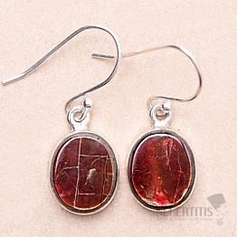 Amolite earrings silver Ag 925 E745