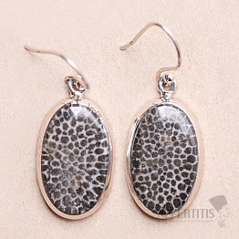 Coral Fossil Stingray Earrings Silver Ag 925 E85