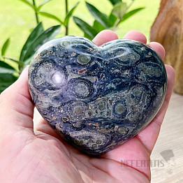 Jasper kambaba polished Madagascar Heart M9-2