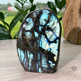 Labradorite Rainbow Polished Freeform Madagascar P7-4