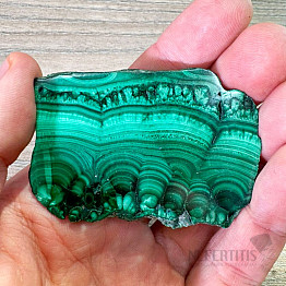 Malachite polished slice 14