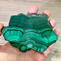 Malachite polished slice 15