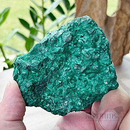 Malachite velvet raw 8