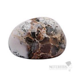 Dendritic opal (tree) tumbled