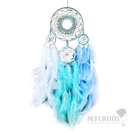 Dream Catcher Dream Fairy