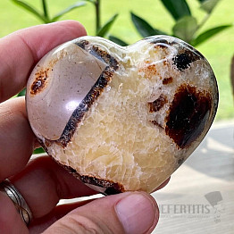 Polished septaria Madagascar Heart P6-1