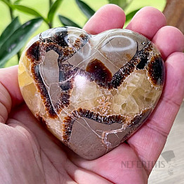 Polished septaria Madagascar Heart P6-2