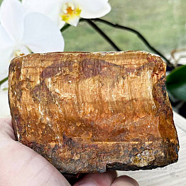 Tiger eye raw AA quality 5