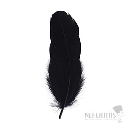 Goose feather for smoking black 16 cm