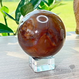 Petrified Wood Sphere Madagascar 3