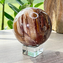 Petrified Wood Sphere Madagascar 10