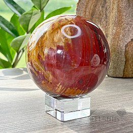 Petrified Wood Sphere Madagascar 11